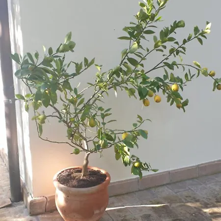 Bed and breakfast Alto Locandieri Montebagnolo